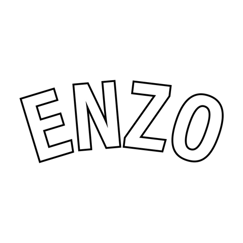 Authentic English Premier League 25/26 - ENZO 8
